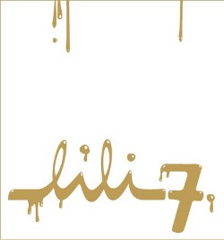 lili 7 udk preis design berlin