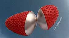 schmuck design aussstellung estland