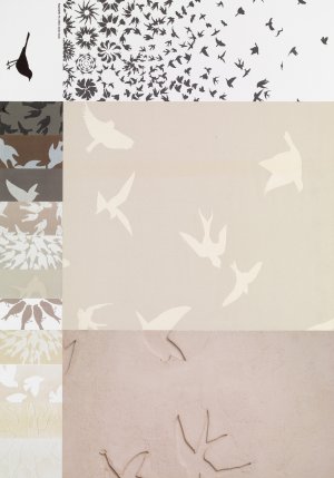 new walls, please jenny pils amsel drossel fink new walls, please jenny pils amsel drossel fink